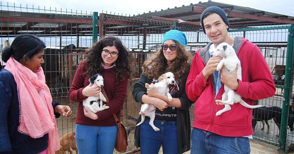 Students of EMU Tourism Faculty Support Dogs in Shelters