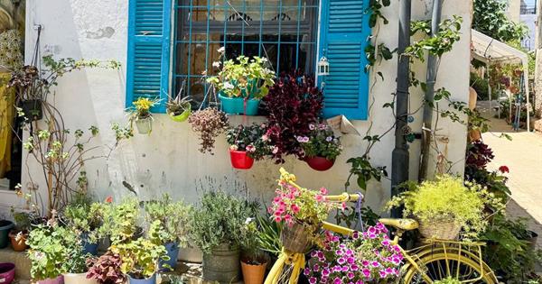 The Most Beautiful Balcony and Garden of Famagusta Selected in Collaboration with EMU and Municipality of Famagusta