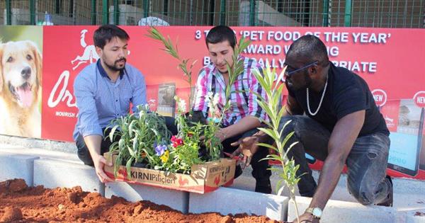 DAÜ Toplumsal Duyarlılık Merkezi Hayvanları Da Unutmadı